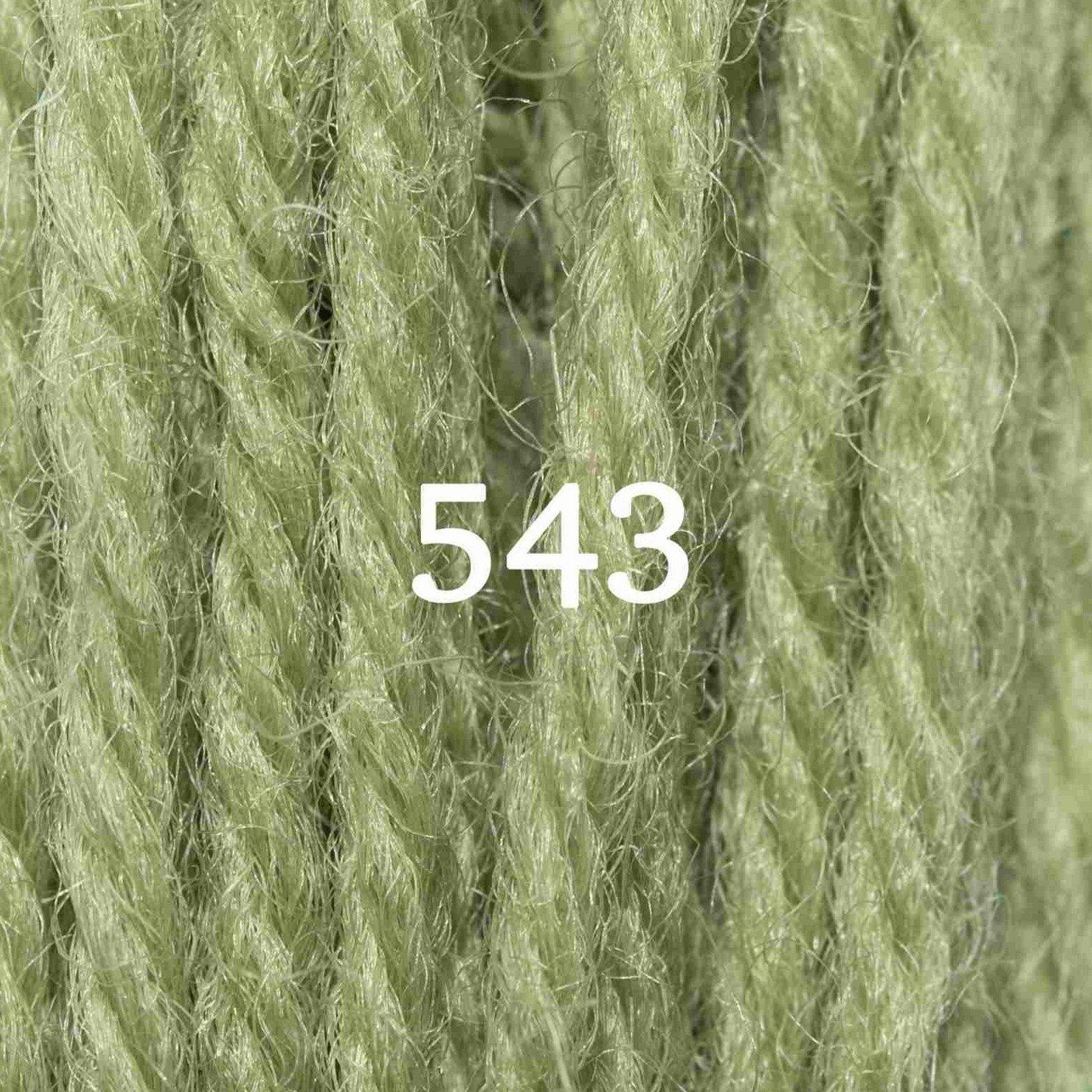 Appleton-Appleton Crewel Yarn-yarn-543-gather here online