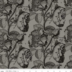 Riley Blake Designs-Queen's Living Garden Gray-fabric-gather here online