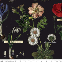 Riley Blake Designs-Botanicals Black-fabric-gather here online