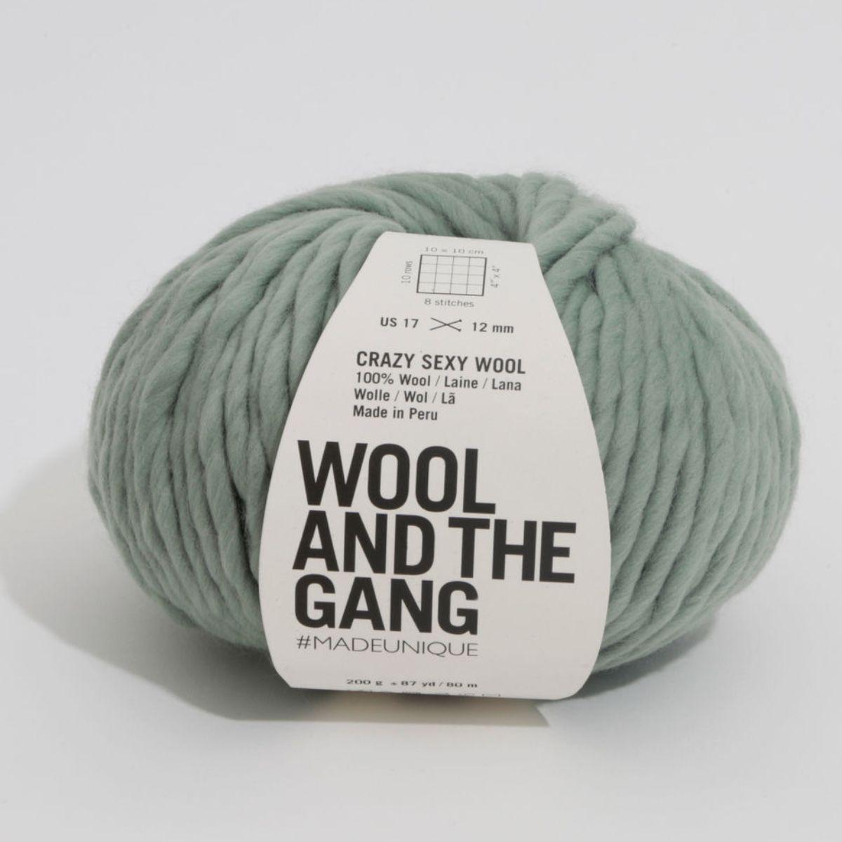 Wool and the Gang Crazy Sexy Wool 290 Heritage Green