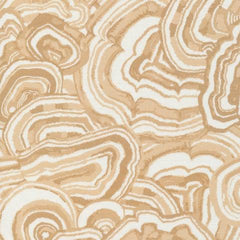Cloud9-Turkey Tail Ivory-fabric-gather here online