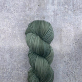 Dirtywater Dyeworks-Lillian-yarn-402 Malachite-gather here online