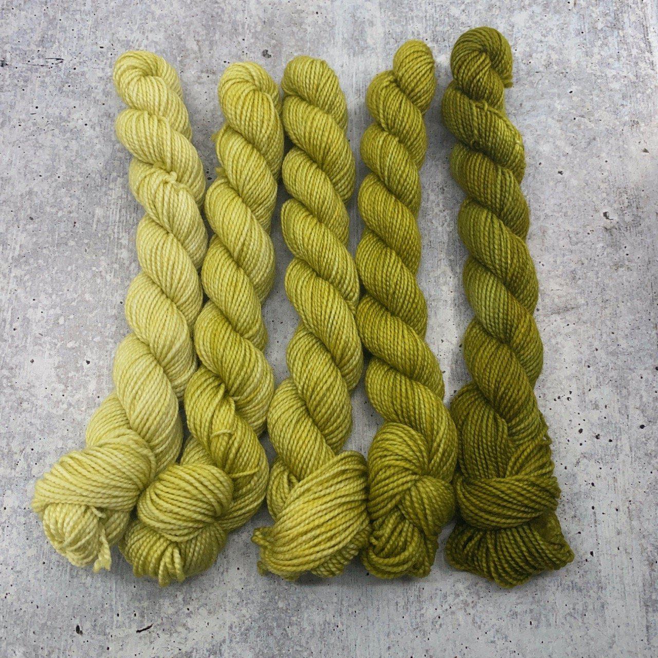 Dirtywater Dyeworks-Mini Lillian Plus Gradient Bundles-yarn-360-Pond Scum-gather here online