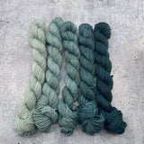Dirtywater Dyeworks-Mini Lillian Plus Gradient Bundles-yarn-416-Sea Glass-gather here online