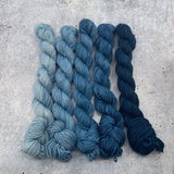 Dirtywater Dyeworks-Mini Lillian Plus Gradient Bundles-yarn-418-Moon Shadow-gather here online