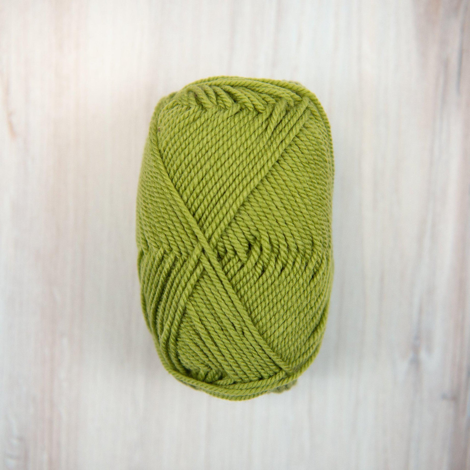 Ewe Ewe Yarn - Wooly Worsted - 50 Pistachio - gatherhereonline.com