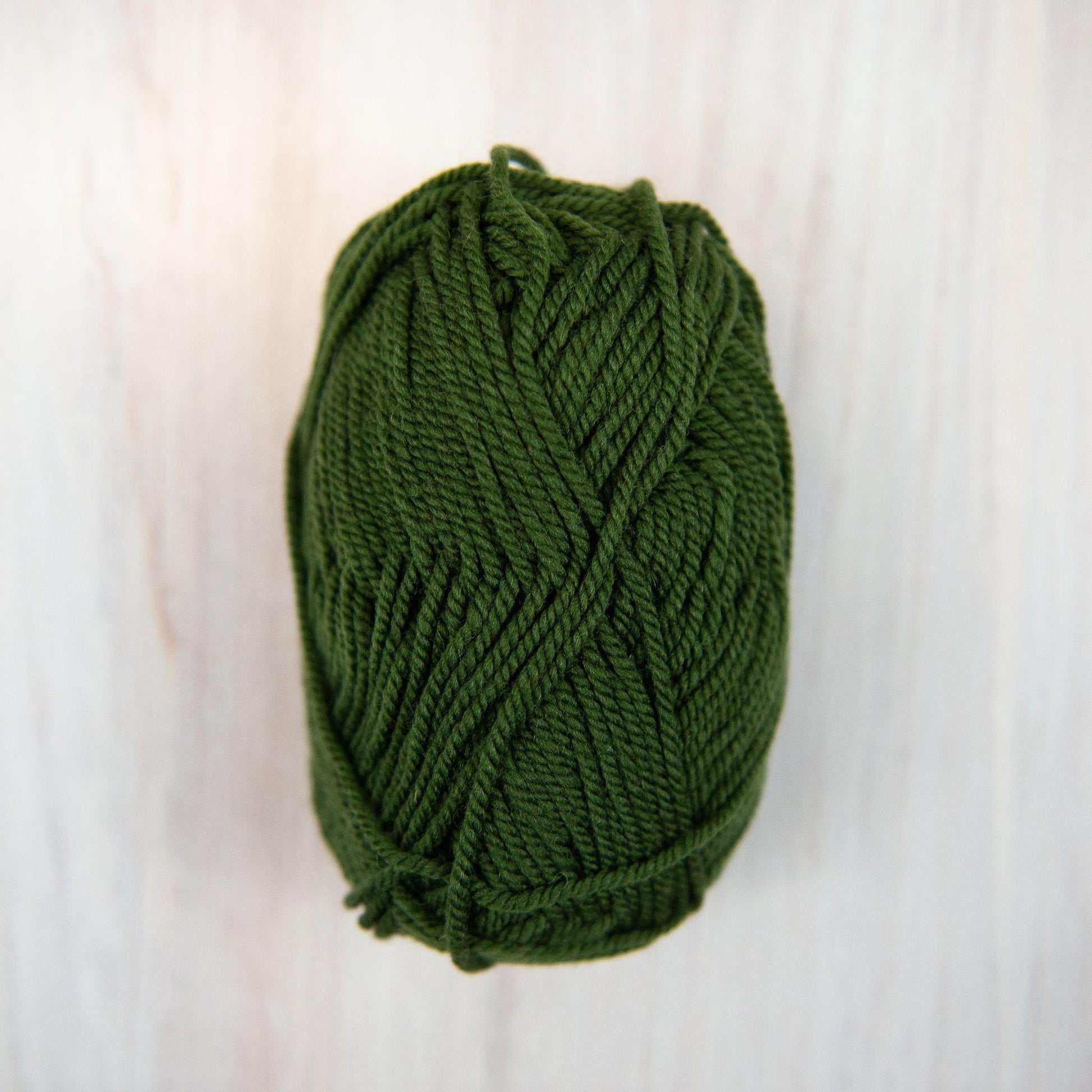 Ewe Ewe Yarn - Wooly Worsted - 53 Forest Fern - gatherhereonline.com