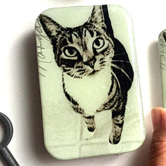 Firefly Notes-Cat Large Notion Tin-accessory-gather here online
