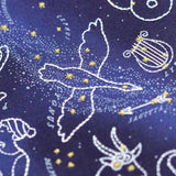 Kiriki Press-Star Map Embroidery Kit-embroidery kit-gather here online