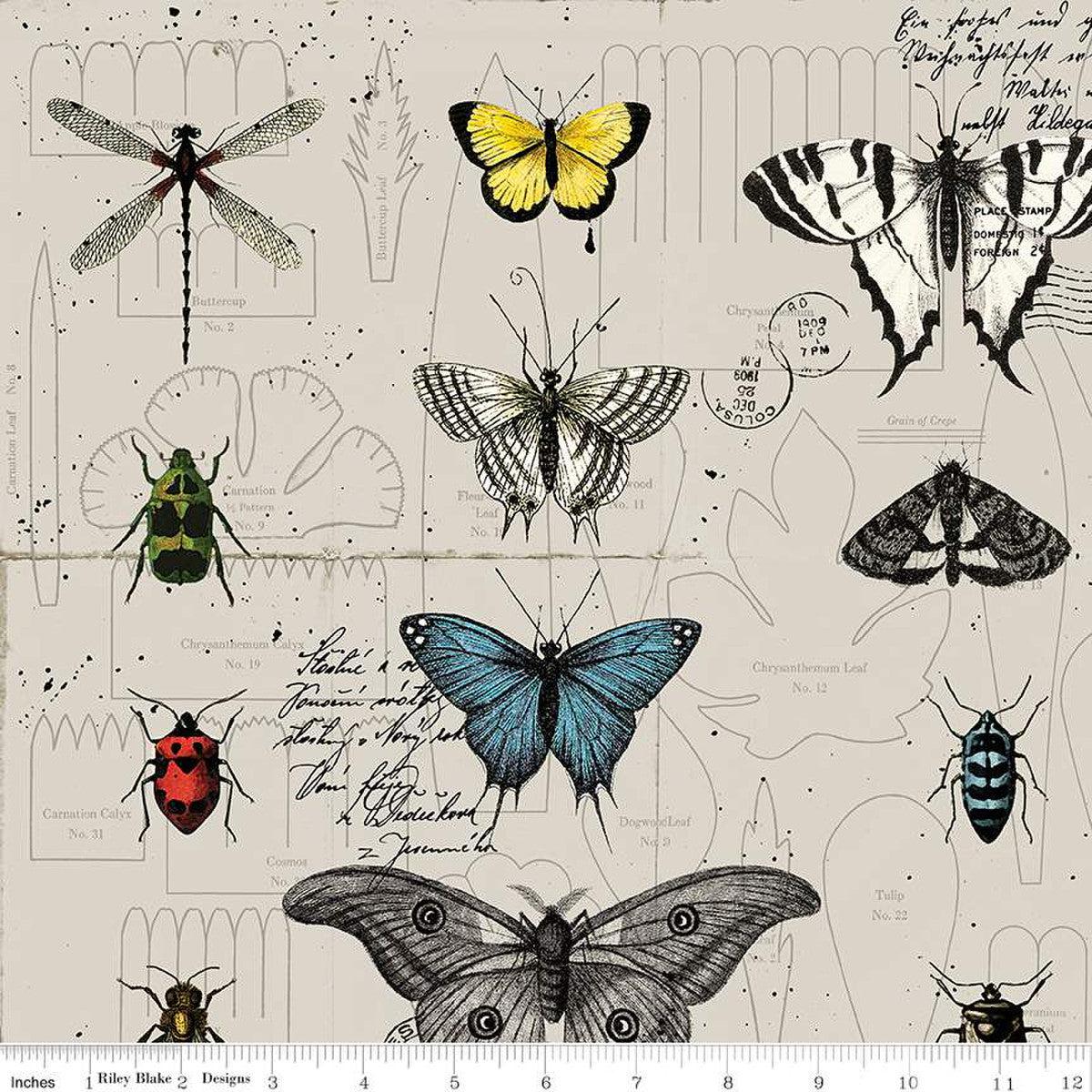 Riley Blake Designs-Linen Envelopes Natural-fabric-gather here online