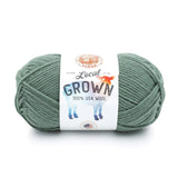 Lion Brand Yarns-Local Grown-yarn-Sagebrush-gather here online