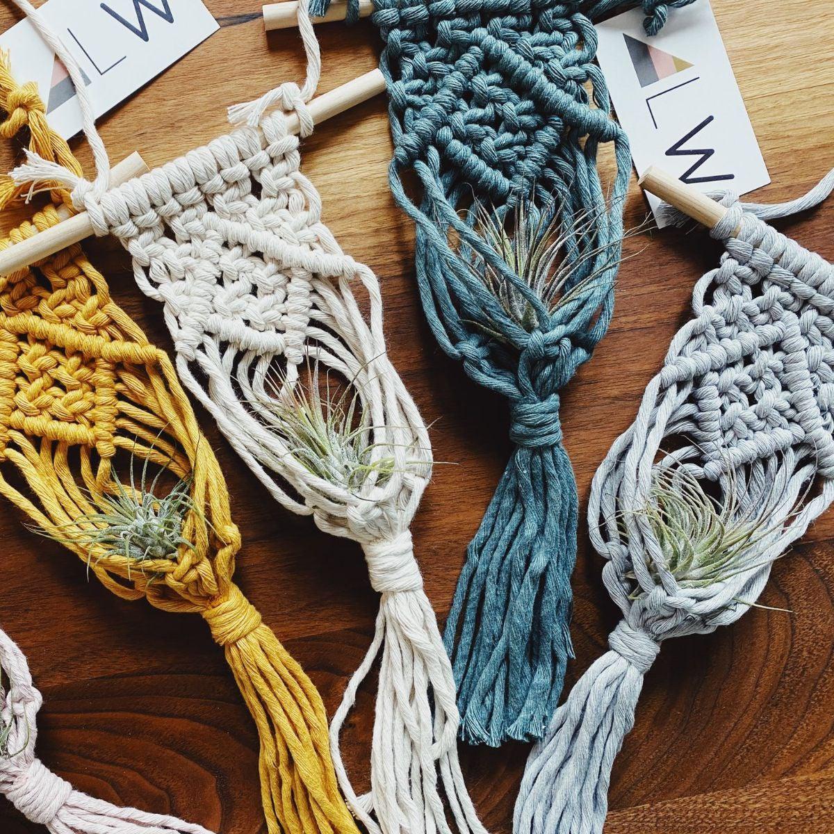 Likewoah-DIY Macramé Air Plant Hanger Kit-craft kit-gather here online