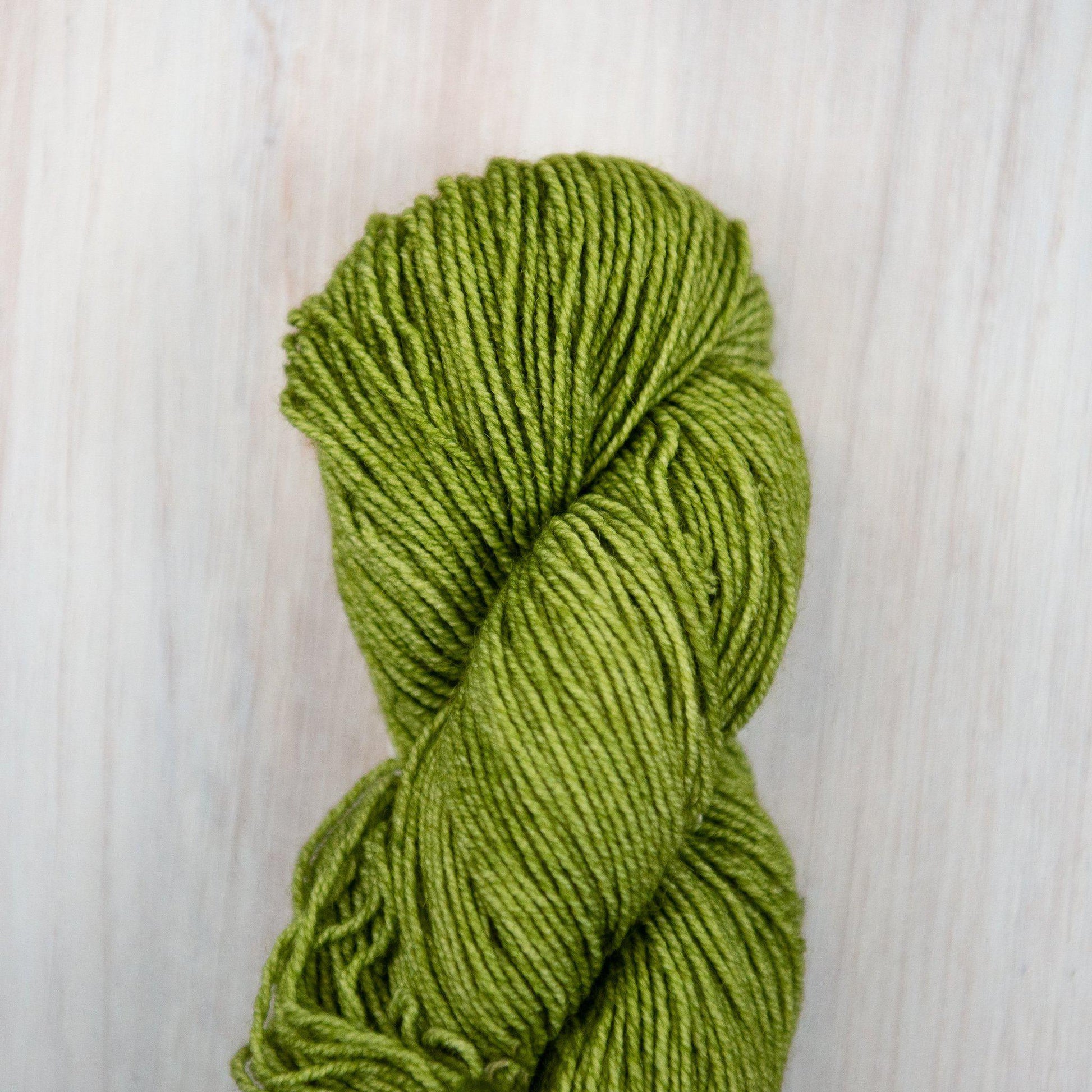 Malabrigo - Dos Tierras - 037 Lettuce - gatherhereonline.com