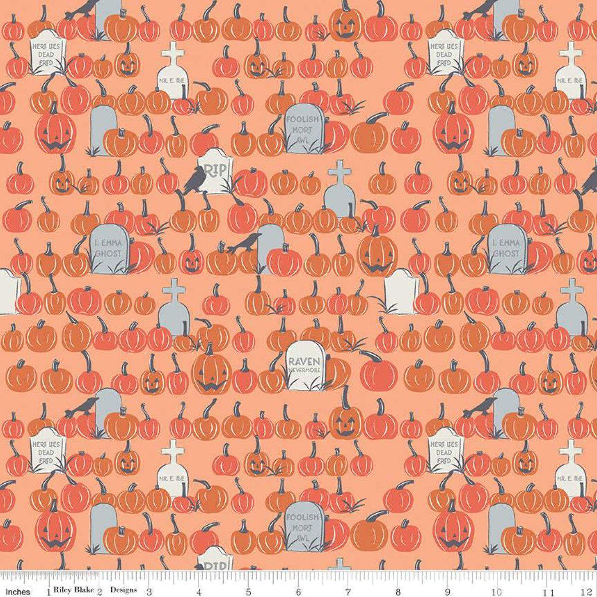 Riley Blake Designs-Pumpkin Field Orange-fabric-gather here online