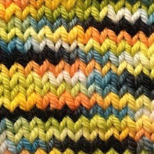 Round Mountain Fibers - Ornithology Bundles - - gatherhereonline.com