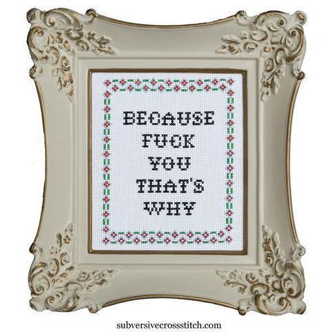 Subversive Cross Stitch - Because Fuck You Cross Stitch Kit - - gatherhereonline.com