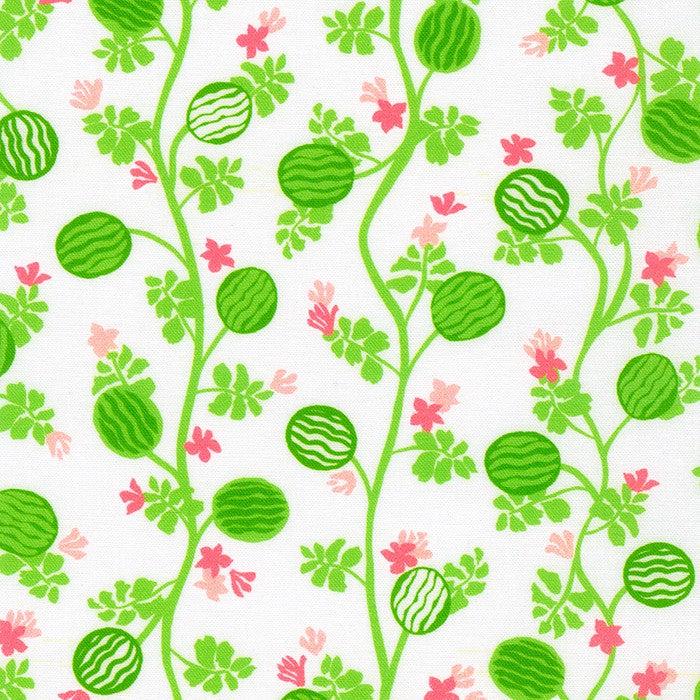 Robert Kaufman-Watermelon Vines on White-fabric-gather here online