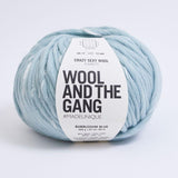 Wool and the Gang-Crazy Sexy Wool-yarn-Bubblegum Blue-gather here online