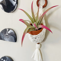 gather here classes-Crochet Air Plant Hanger-class-gather here online