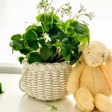 Flax & Twine-April Basket Kit - Ivory-craft kit-gather here online
