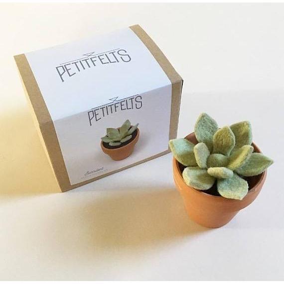 needle felt succulents Intro to Needle Felting – gather here online