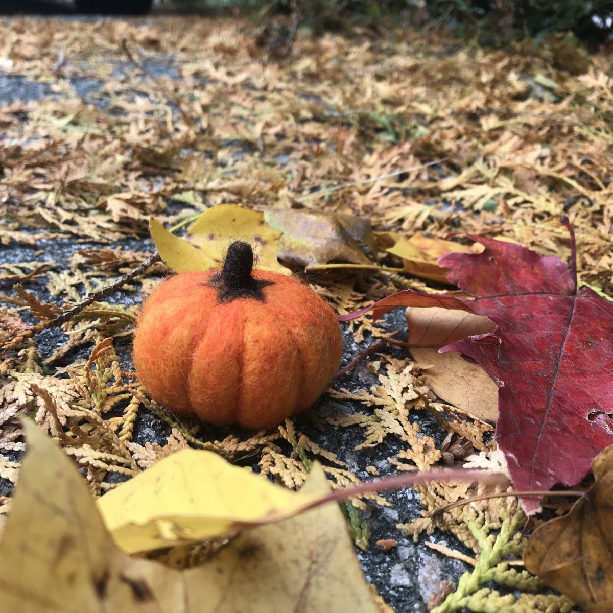 gather here classes - Inman Square 2nd Thursday - Needle Felted Pumpkin - - gatherhereonline.com