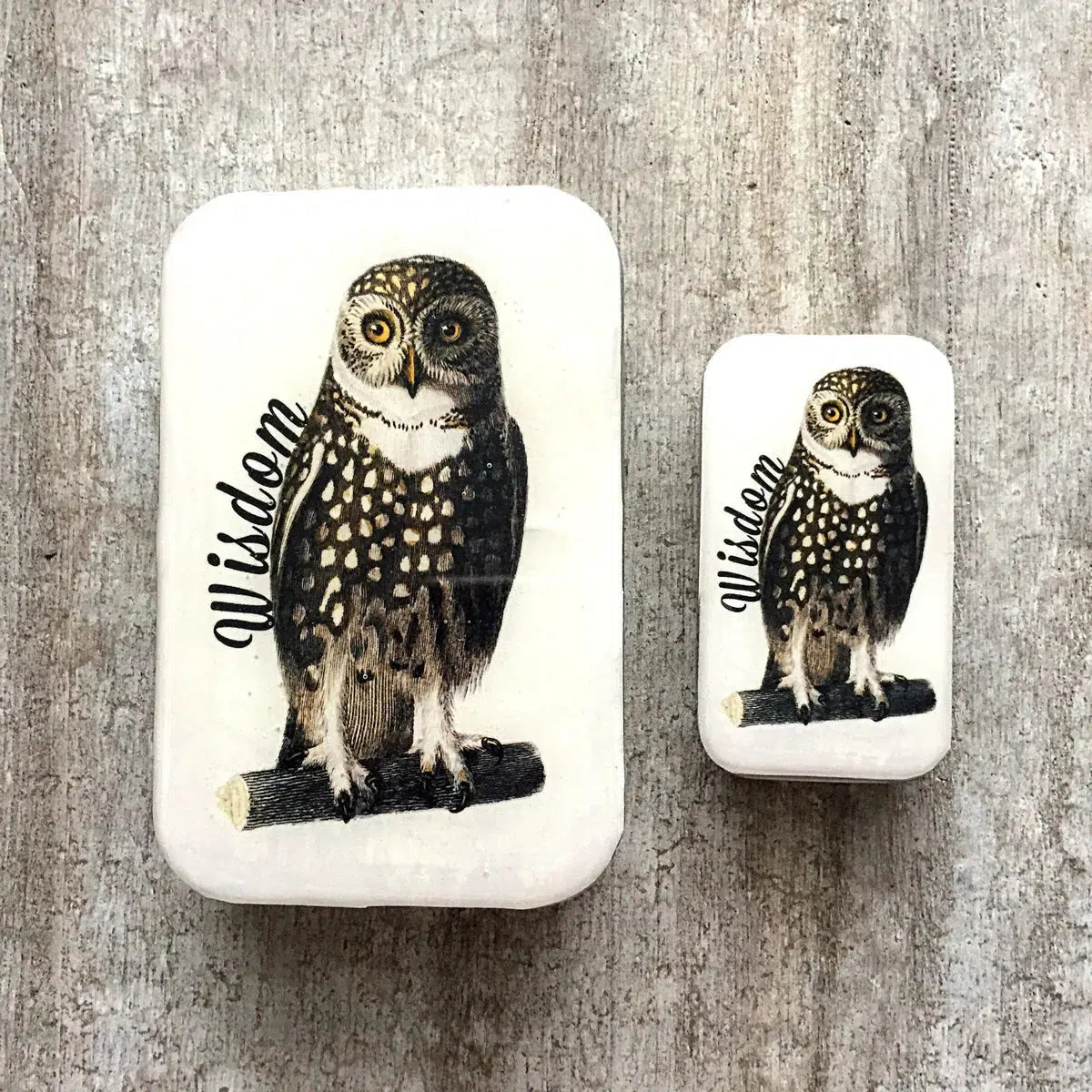 Firefly Notes-Wise Owl Small Notions Tin-knitting notion-gather here online