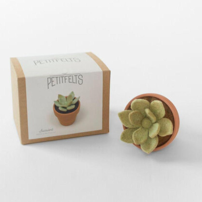 Petit Felt-Needle Felting Kit - Succulent-craft kit-gather here online