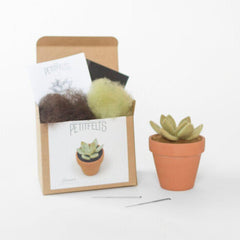 Petit Felt-Needle Felting Kit - Succulent-craft kit-gather here online